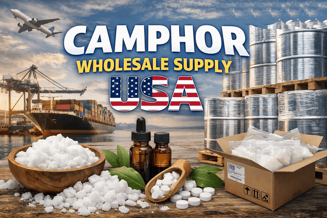 Camphor Supplier USA
